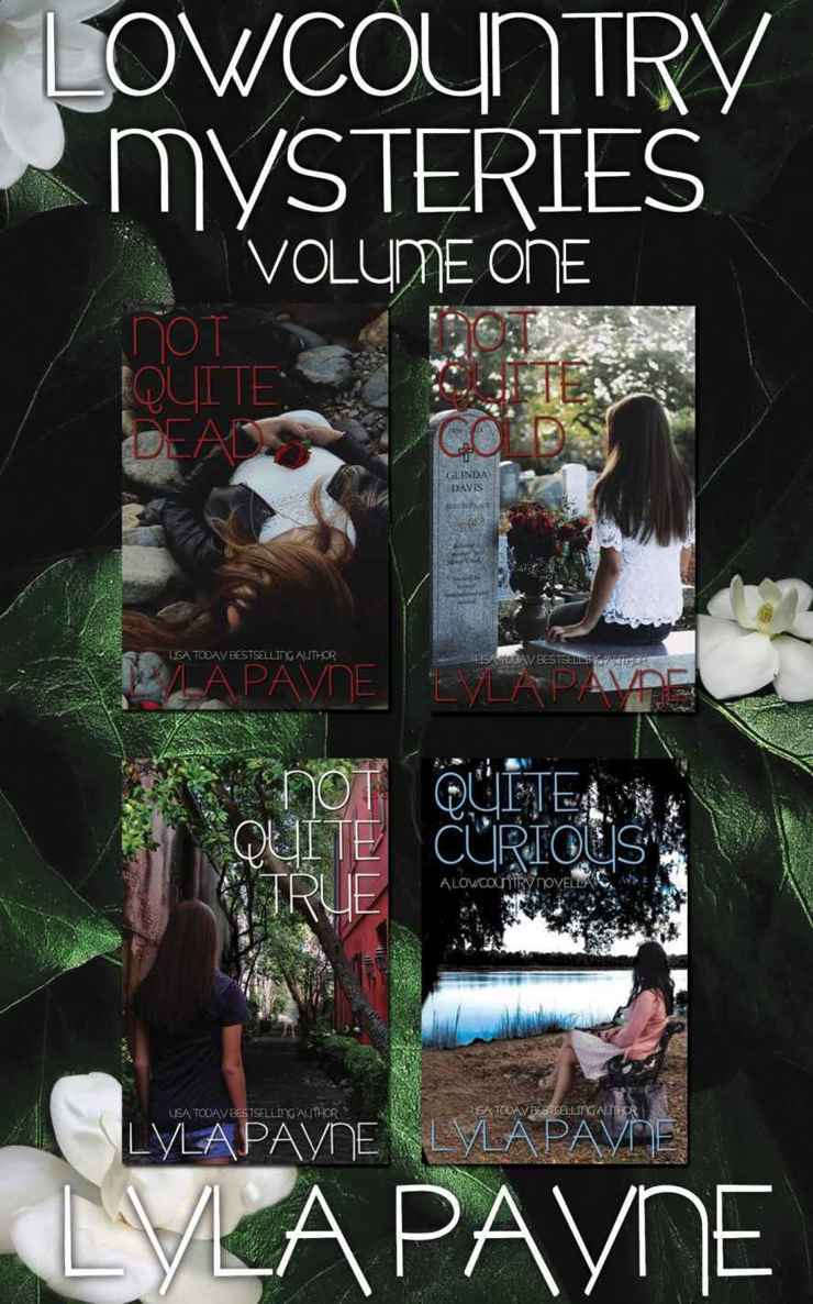 Lowcountry Mysteries 1 35 Lyla Payne Payne Lyla
