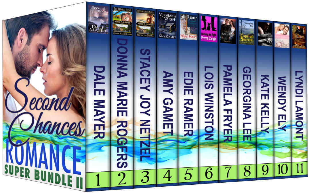 Romance Super Bundle Ii Second Chances Dale Mayer Donna Marie Rogers Stacey Joy Netzel Amy Gamet Edie Ramer Lois Winston Pamela Fryer Georgina Lee Kate Kelly Wendy Ely Lyndi Lamont