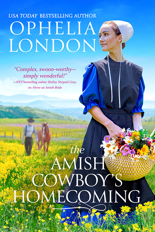 The Amish Cowboys Homecoming Honey Brook Pennsylvania 2 Ophelia London London
