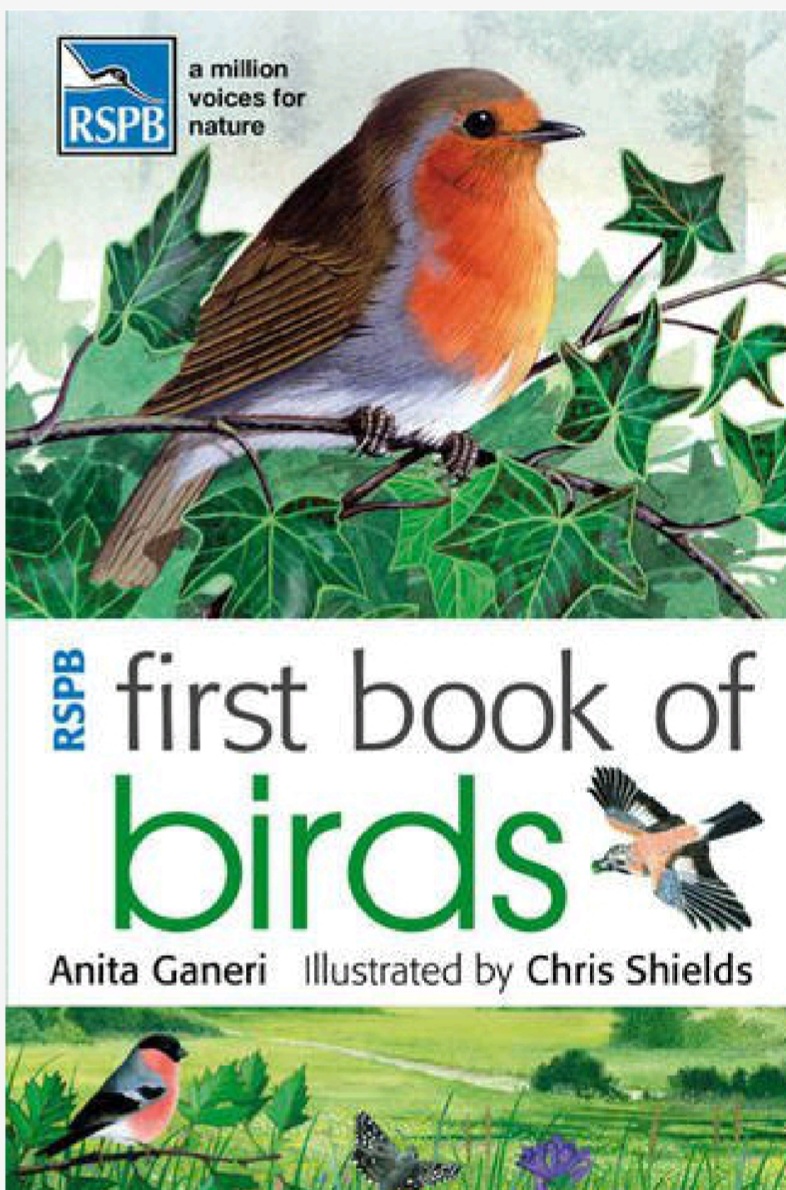 Rspb First Book Of Birds Anita Ganeri David Chandler