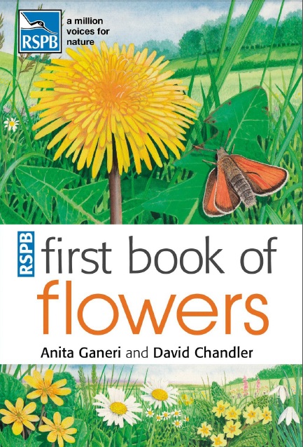 First Book Of Flowers Anita Ganeri David Chandler