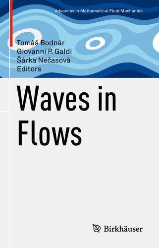 Waves In Flows Tom Bodnr Giovanni P Galdi Rka Neasov