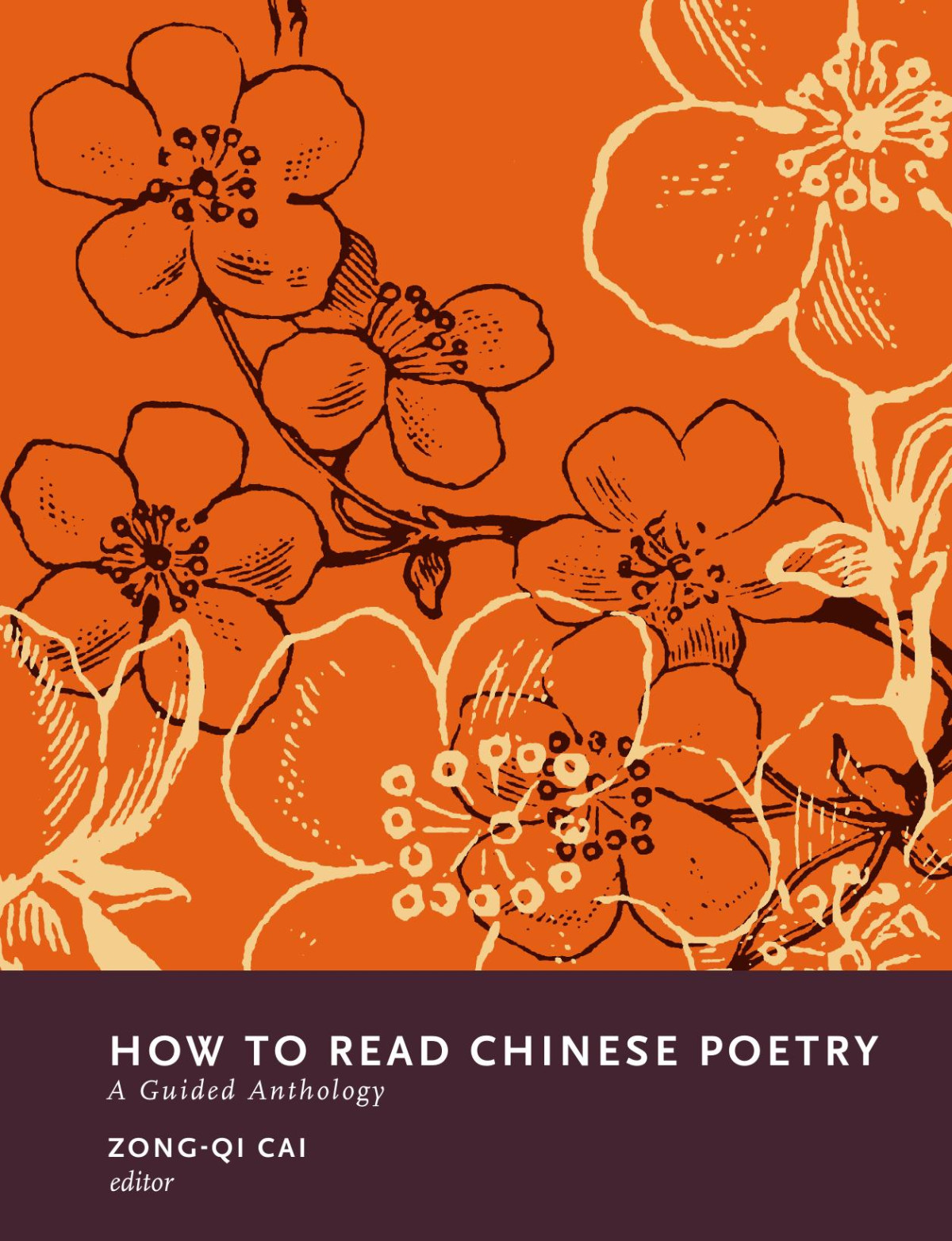 How To Read Chinese Poetry A Guided Anthology How To Read Chinese Literature Illustrated Zongqi Cai