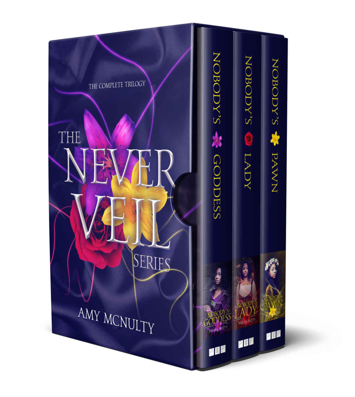The Complete Series Nobodys Goddess Nobodys Lady Nobodys Pawn Amy Mcnulty Mcnulty
