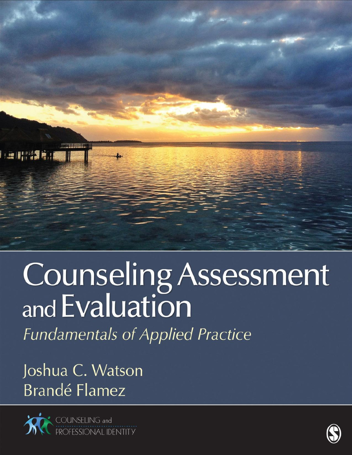 Counseling Assessment And Evaluation Counseling And Professional Identity Flamez
