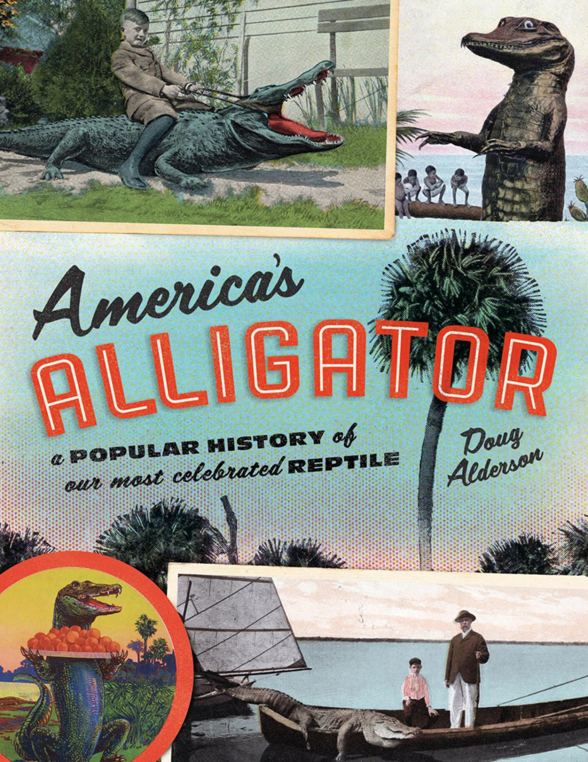 Americas Alligator Doug Alderson