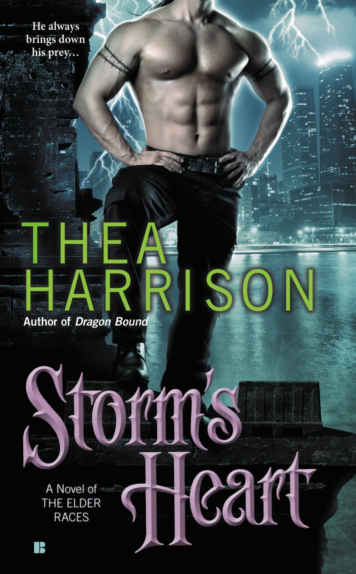 Storms Heart Thea Harrison Harrison Thea