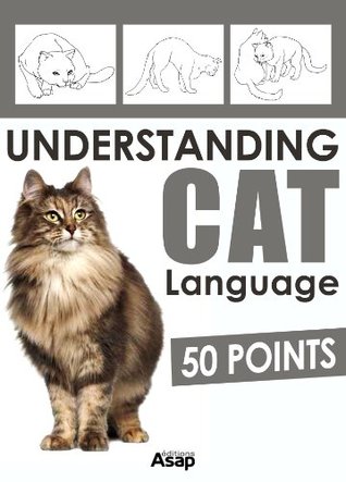 Understanding Cat Language 50 Points Aude Yvans Yvans