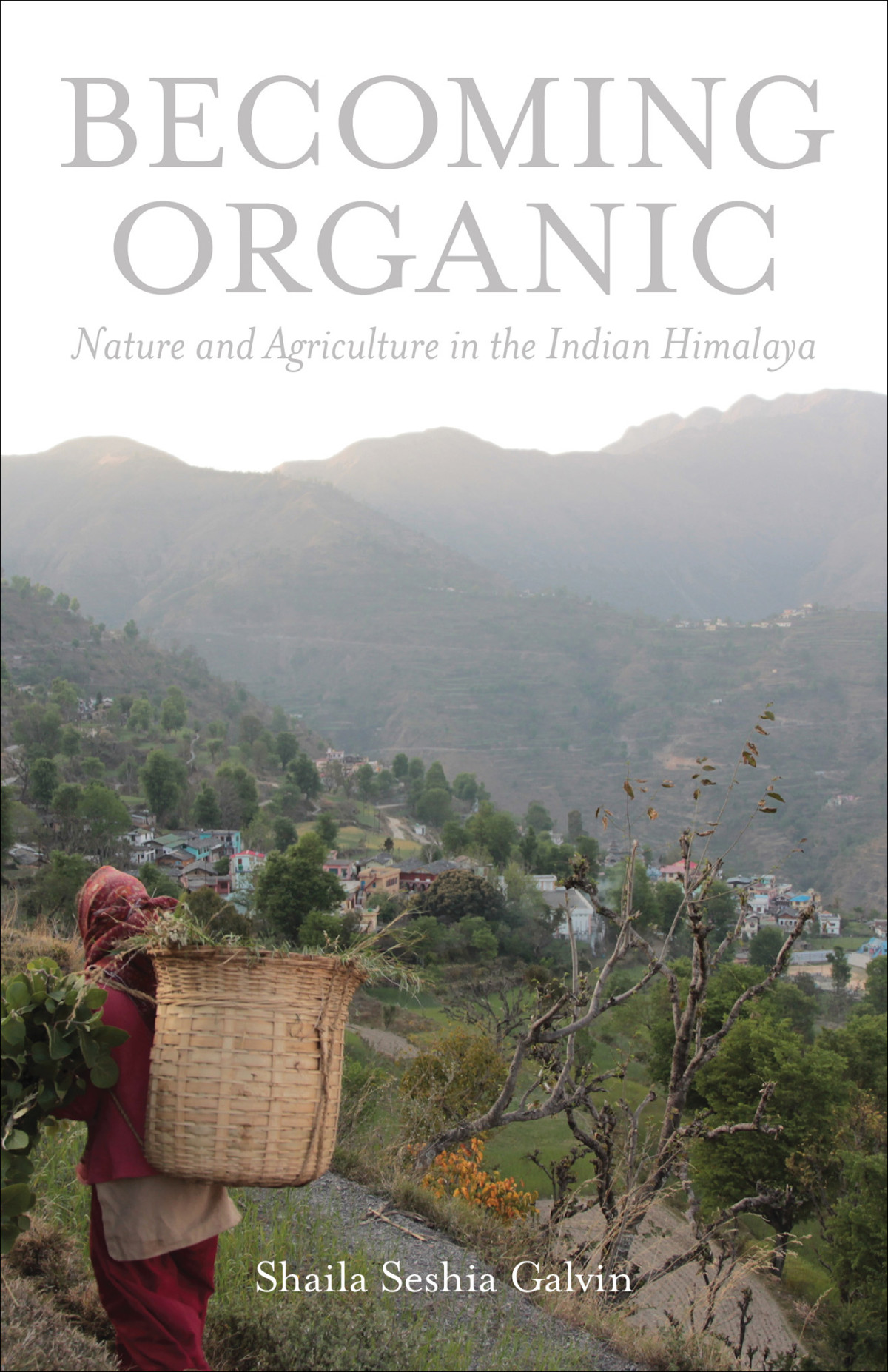 Becoming Organic Nature And Agriculture In The Indian Himalaya Shaila Seshia Galvin