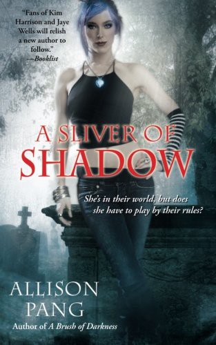 A Sliver Of Shadow Allison Pang Pang Allison