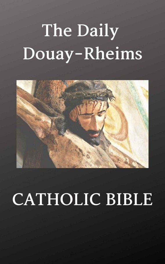 The Daily Douayrheims Catholic Bible Illustrated The Holy Spirit Spirit