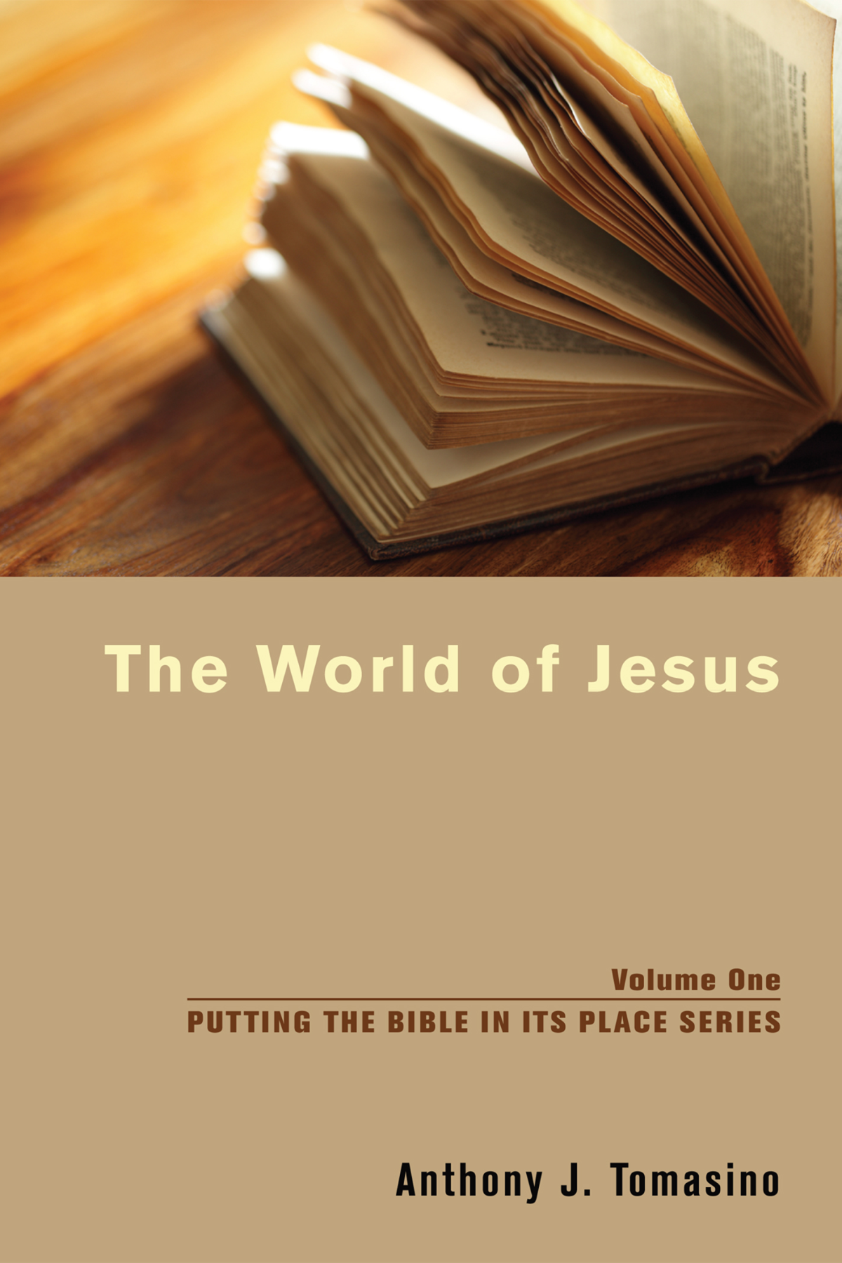 The World Of Jesus Anthony J Tomasino Tomasino Anthony J