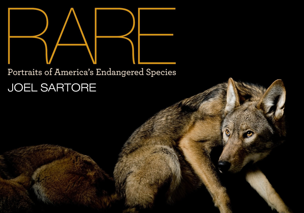 Rare Portraits Of Americas Endangered Species Reupload Illustrated Sartore