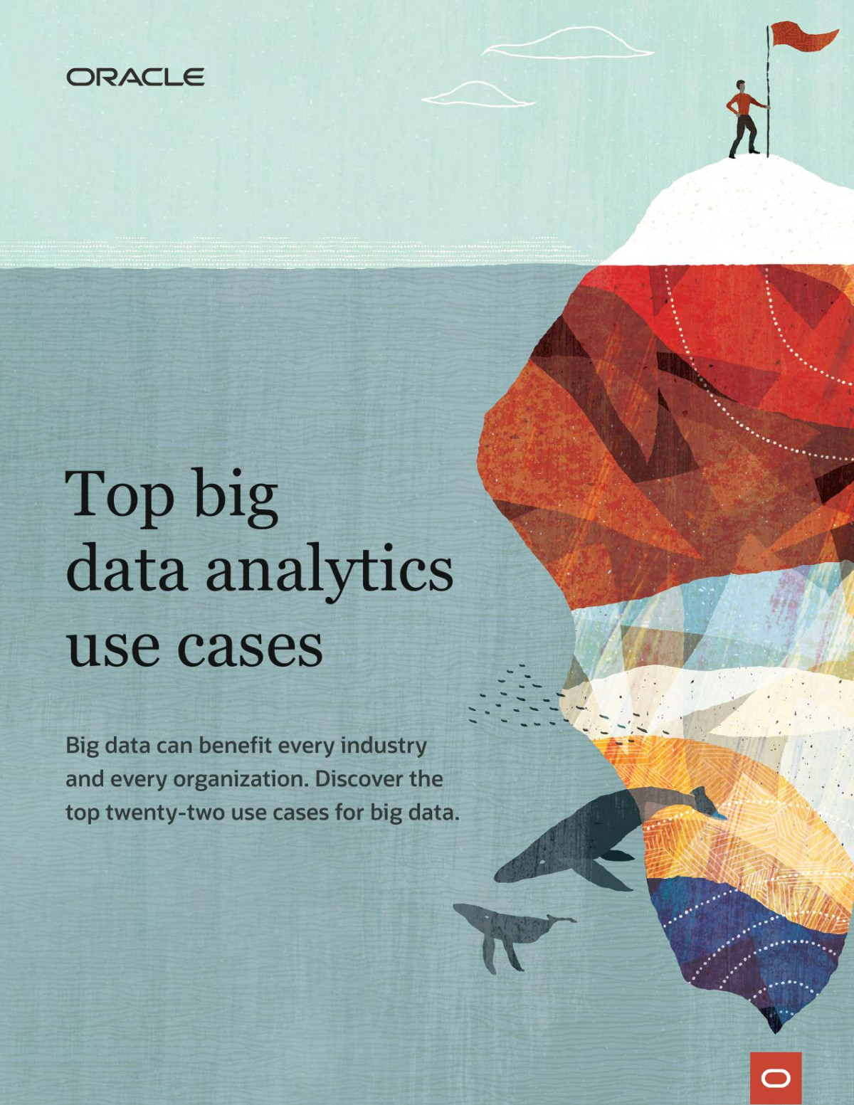 Top Big Data Analytics Use Cases 1st Edition Oracle Corporation