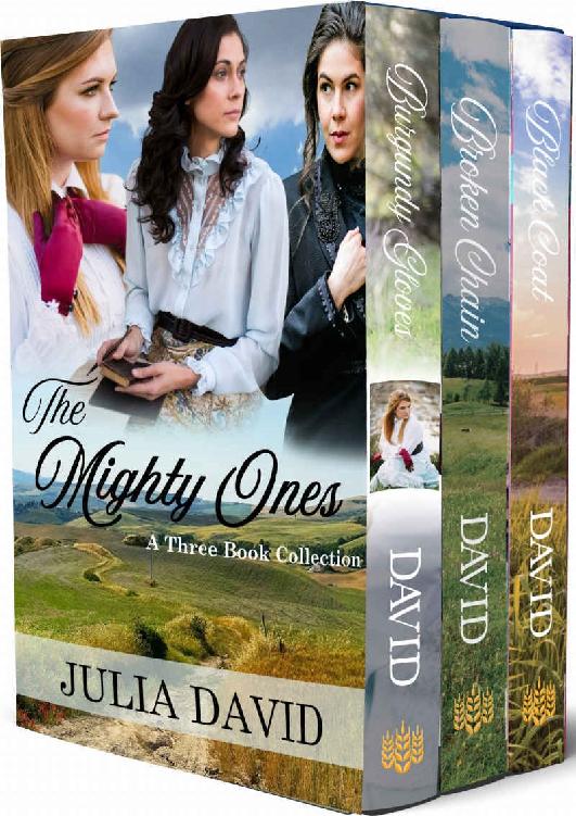 Mighty One 0103 Box Set Julia David David Julia
