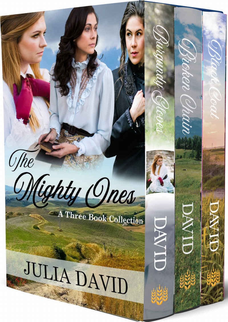 Mighty One 0103 Box Set Julia David