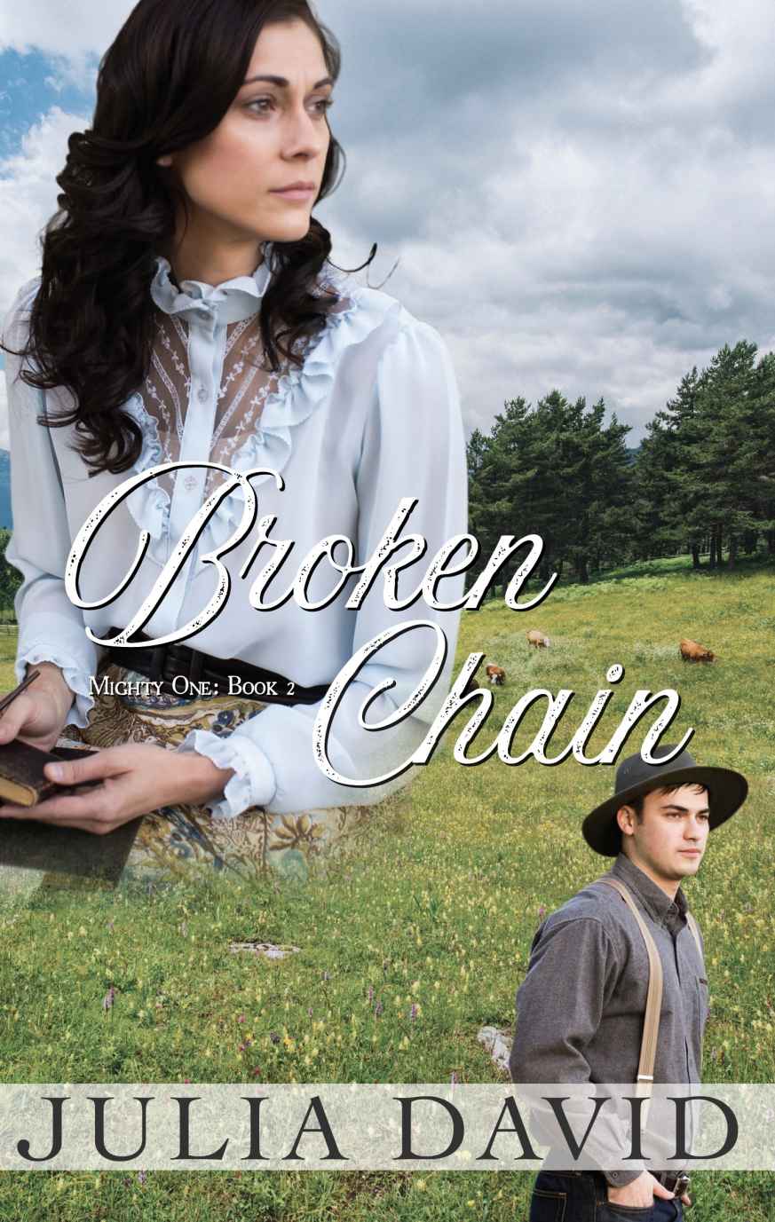 Broken Chain Mighty One 02 Julia David