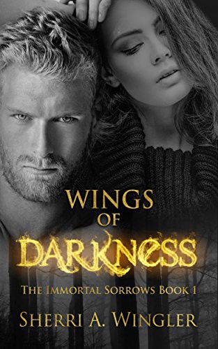 Wings Of Darkness Sherri A Wingler Wingler Sherri A