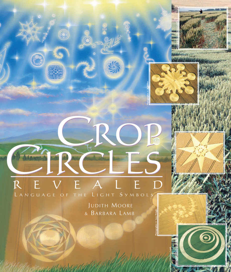 Crop Circles Revealed Language Of The Light Symbols Barbara Lamb