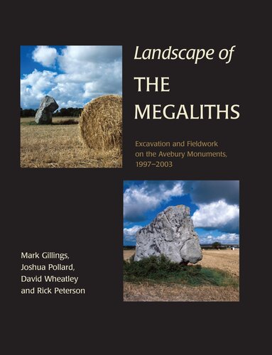 Landscape Of The Megaliths Excavation And Fieldwork On The Avebury Monuments 19972003 Mark Gillings