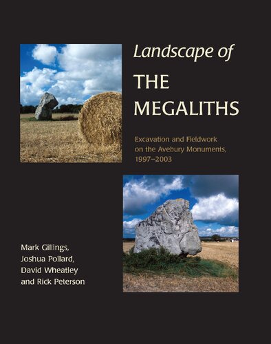 Landscape Of The Megaliths Excavation And Fieldwork On The Avebury Monuments 19972003 Mark Gillings Joshua Pollard Rick Peterson