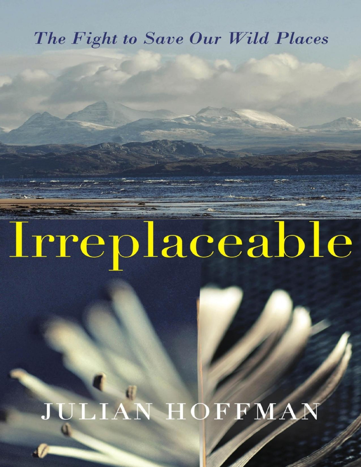 Irreplaceable Julian Hoffman Hoffman Julian