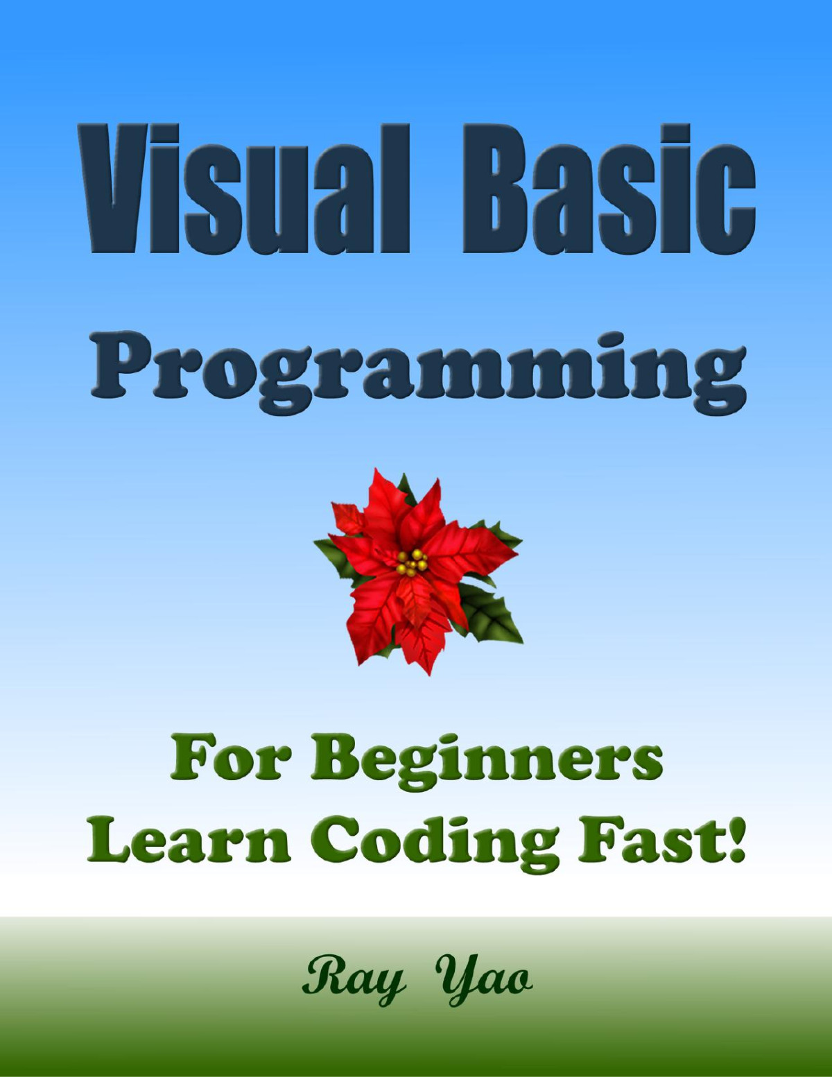 Visual Basic Programming For Beginners Learn Coding Fast Yao
