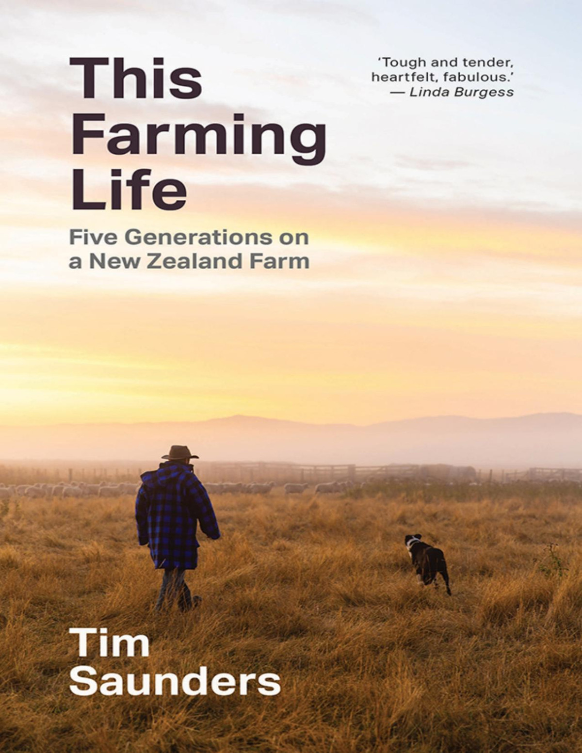 This Farming Life Tim Saunders Saunders Tim