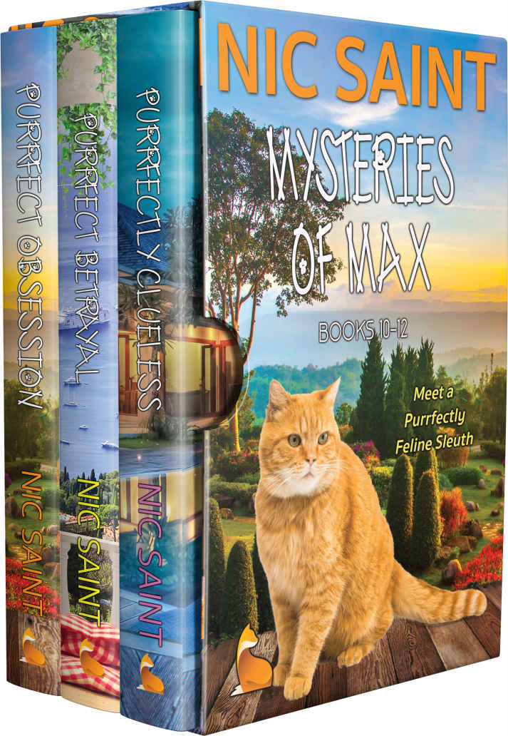 The Mysteries Of Max Box Sets Book 4 The Mysteries Of Max 1012 Nic Saint