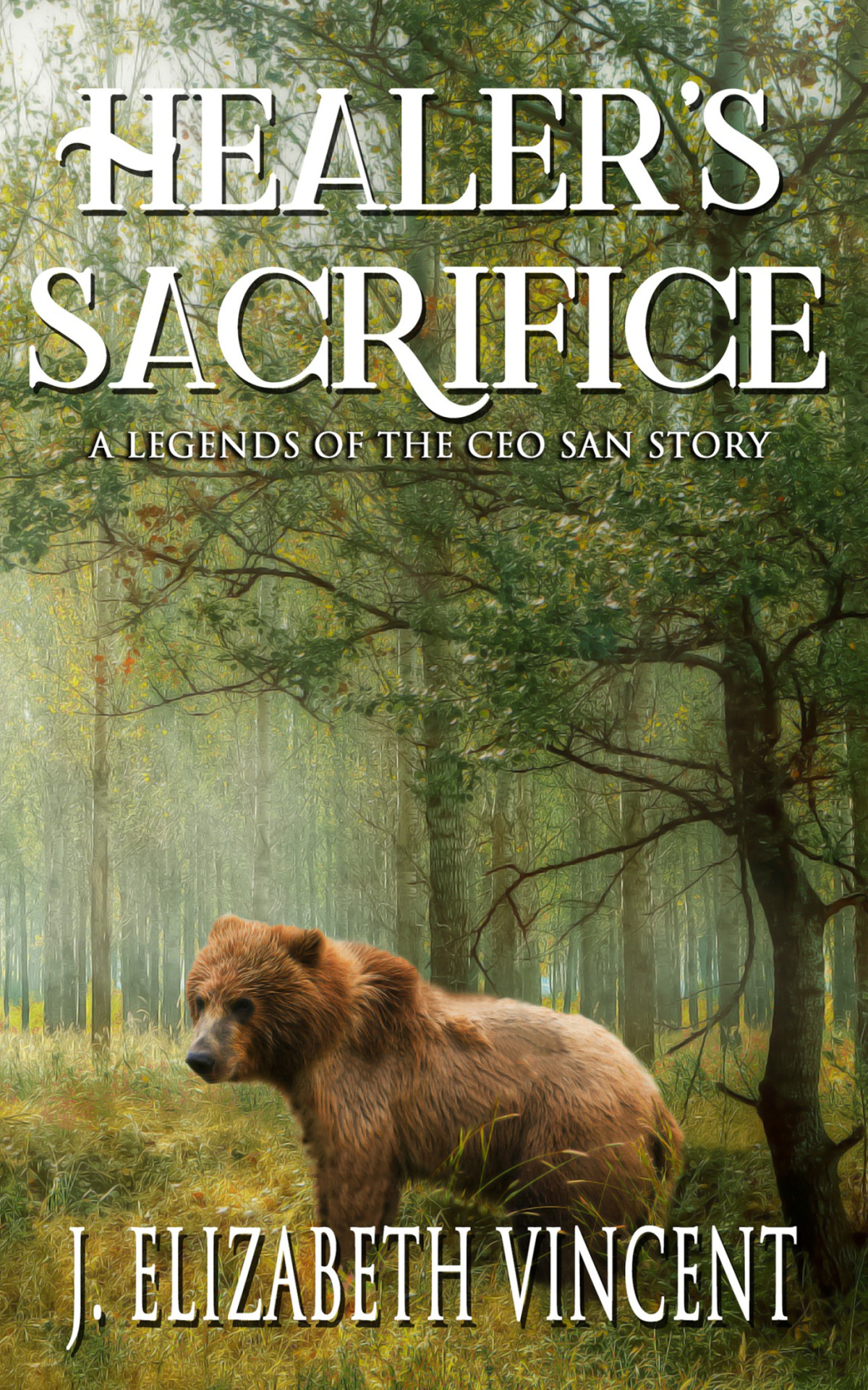 Healers Sacrifice J Elizabeth Vincent