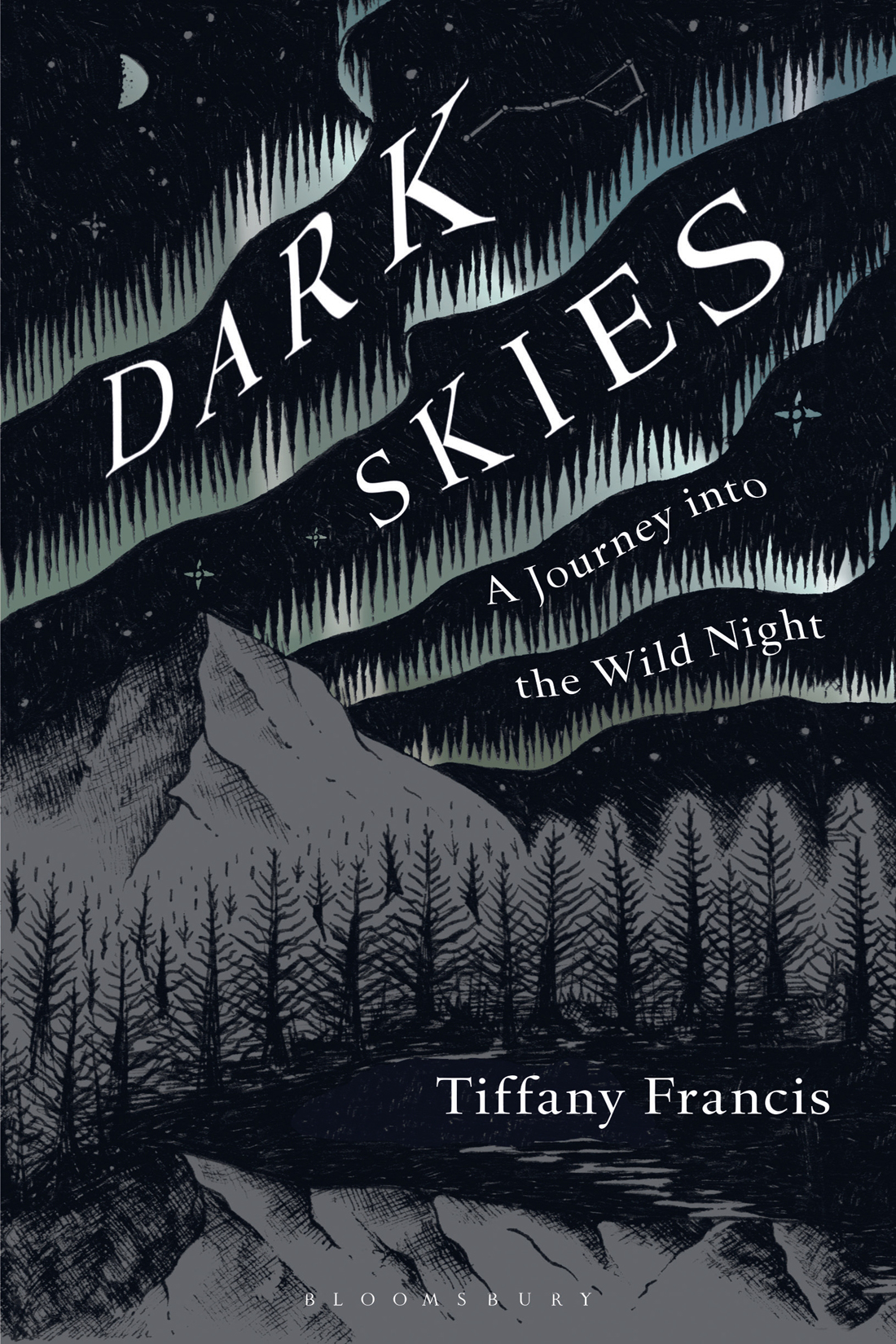 Dark Skies 1st Edition Tiffany Francisbaker Tiffany Francisbaker
