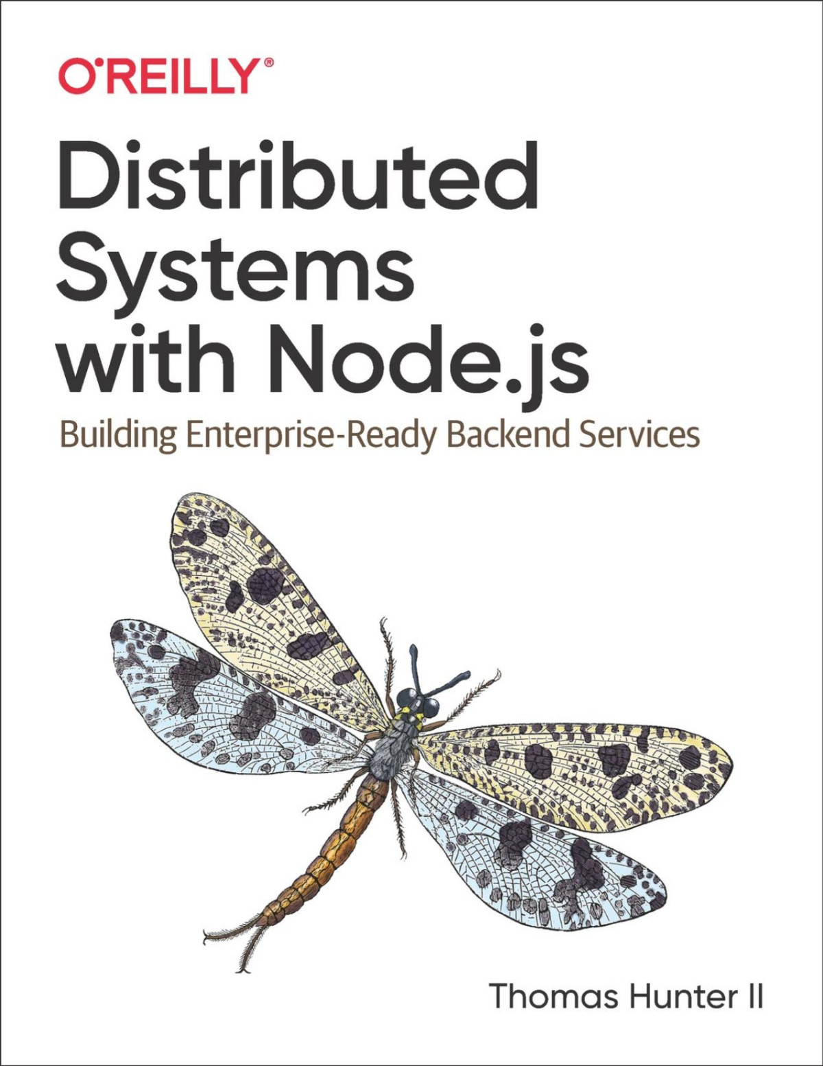 Distributed Systems With Nodejs Thomas Hunter Ii