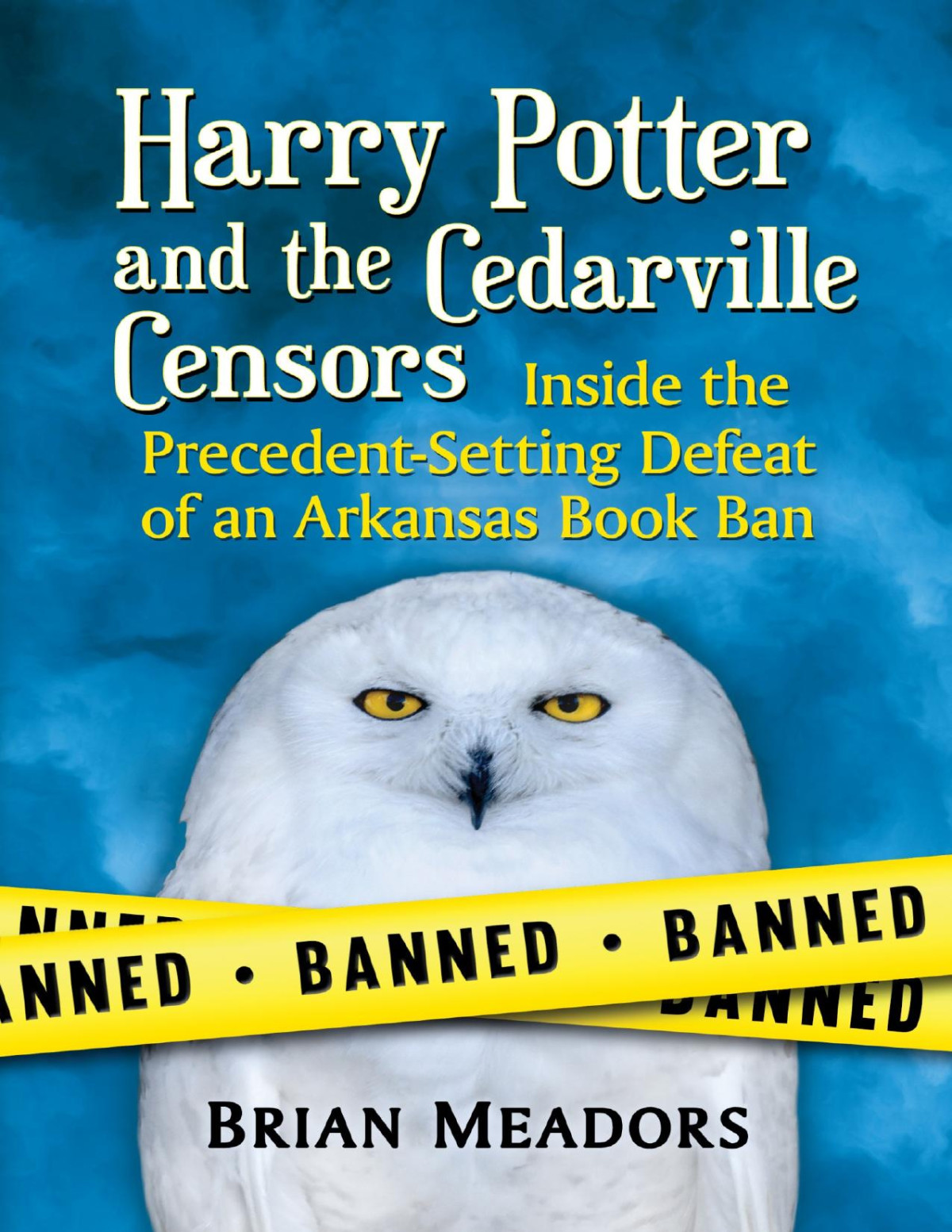 Harry Potter And The Cedarville Censors Brian Meadors Brian Meadors