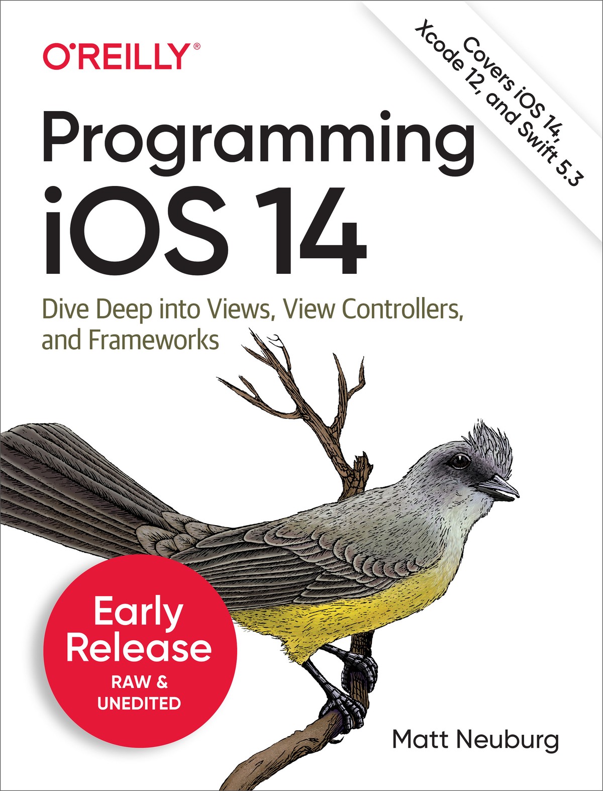 Programming Ios 14 Matt Neuburg