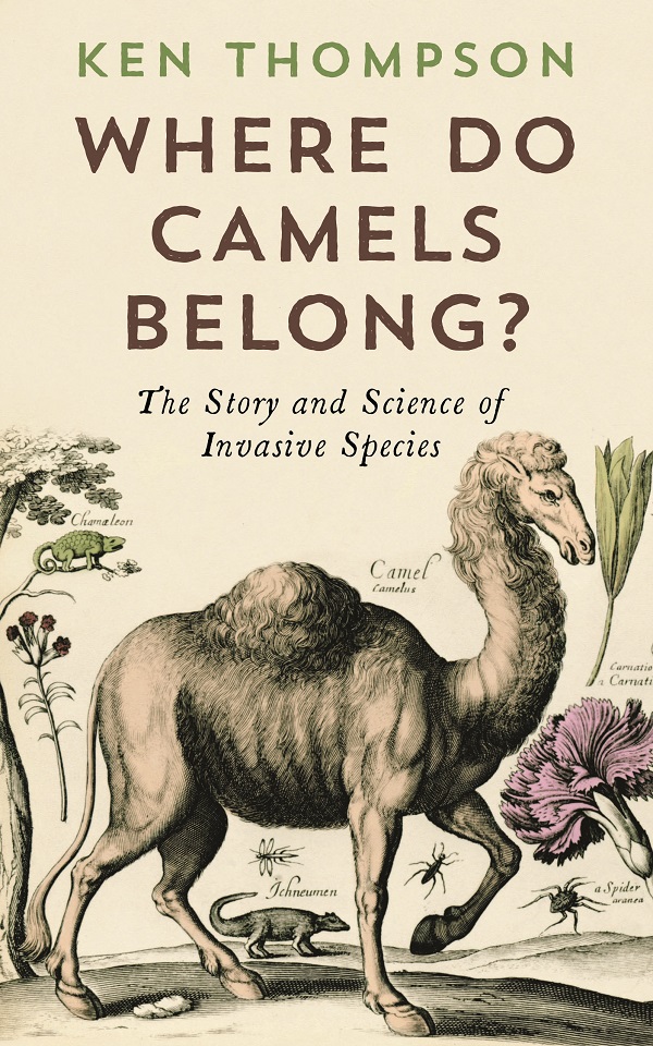Where Do Camels Belong Ken Thompson