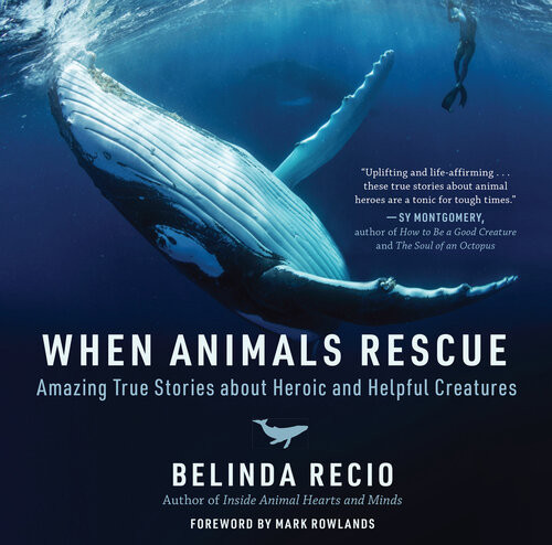 When Animals Rescue Amazing True Stories About Heroic And Helpful Creatures Belinda Recio