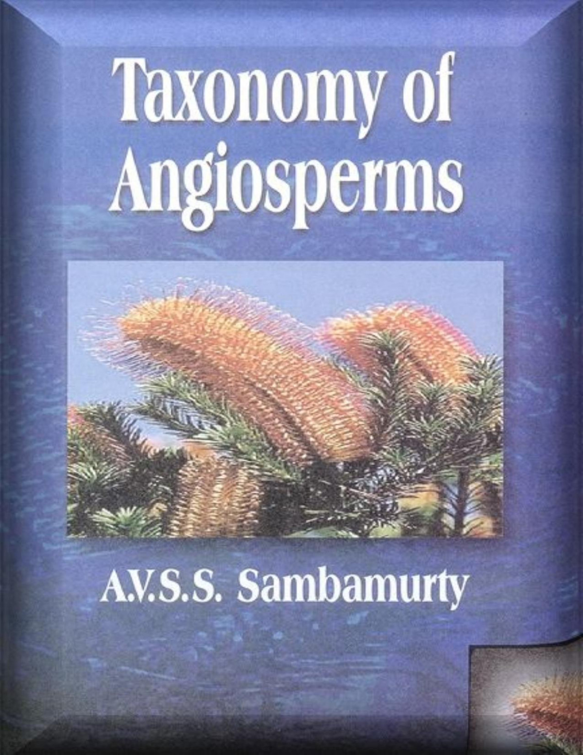 Taxonomy Of Angiosperms Avss Sambamurty Sambamurty Avss