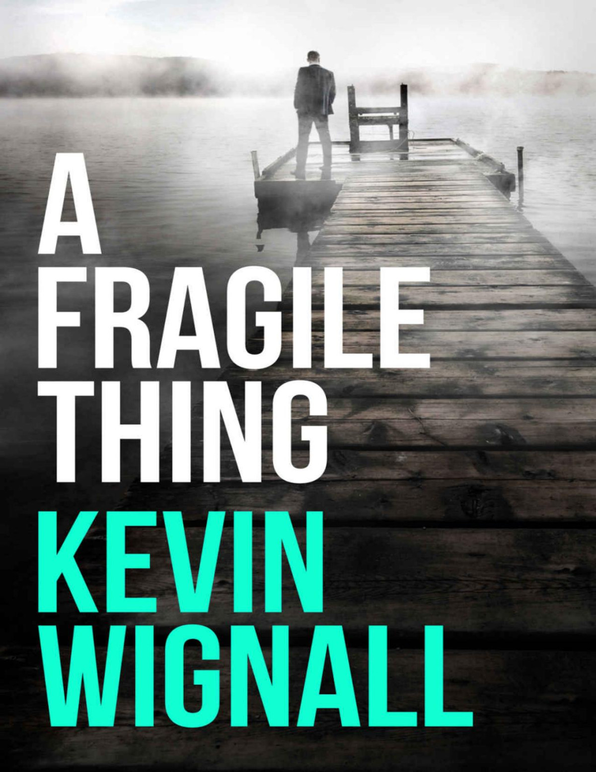 A Fragile Thing Kevin Wignall Wignall Kevin