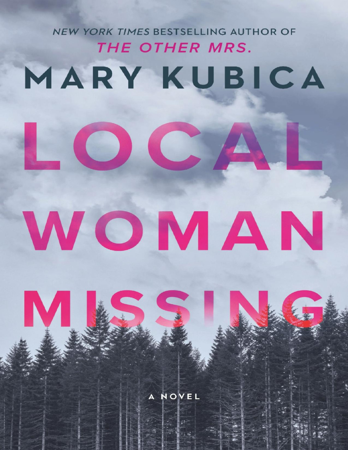Local Woman Missing Mary Kubica Mary Kubica