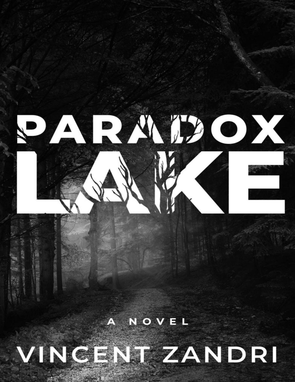 Paradox Lake Vincent Zandri Zandri Vincent