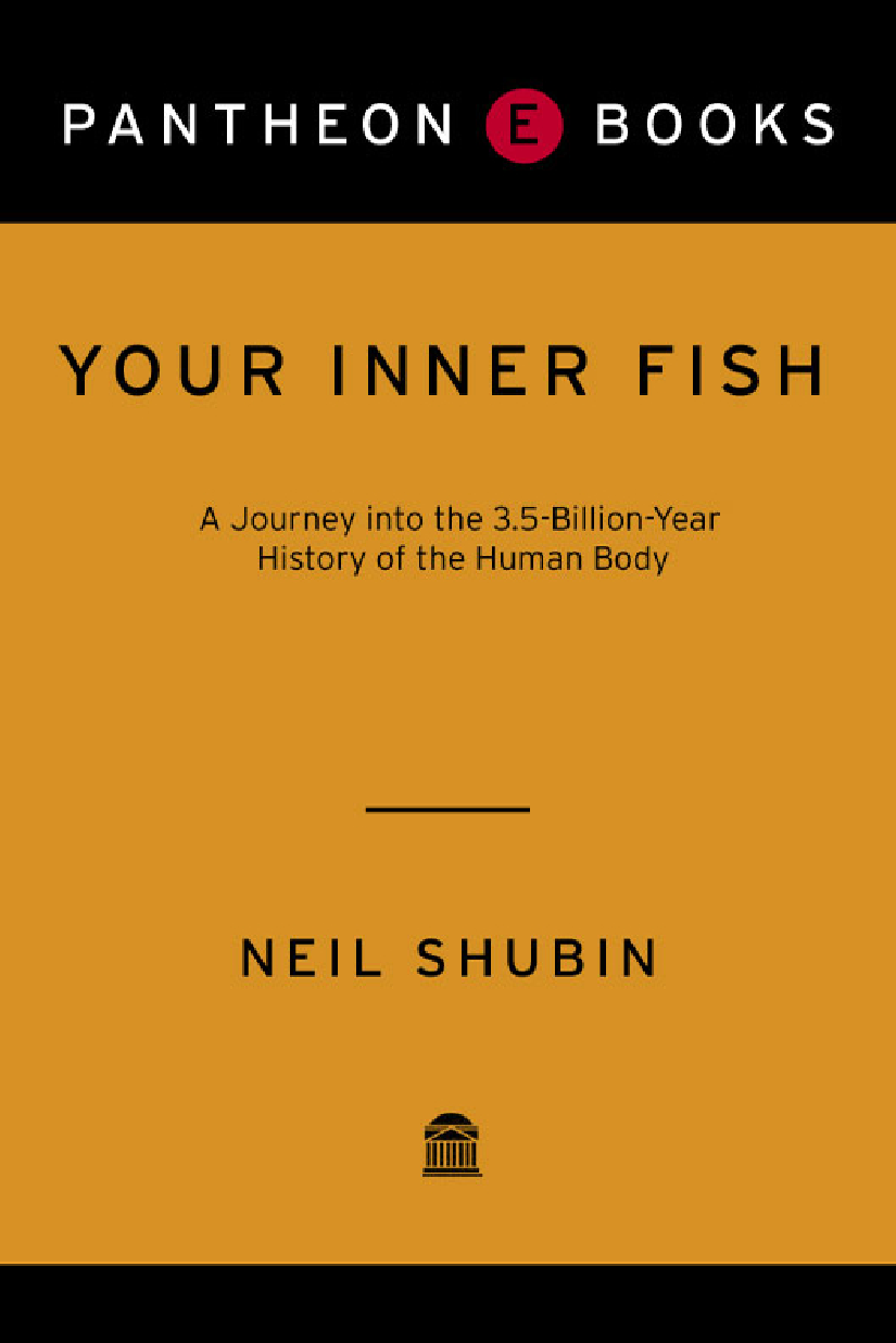 Your Inner Fish Neil Shubin