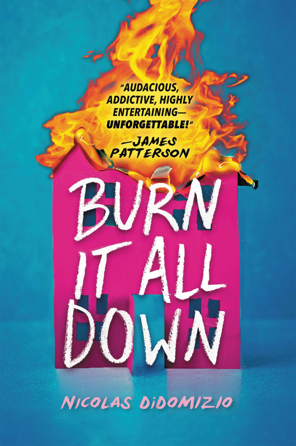 Burn It All Down 1st Edition Nicolas Didomizio