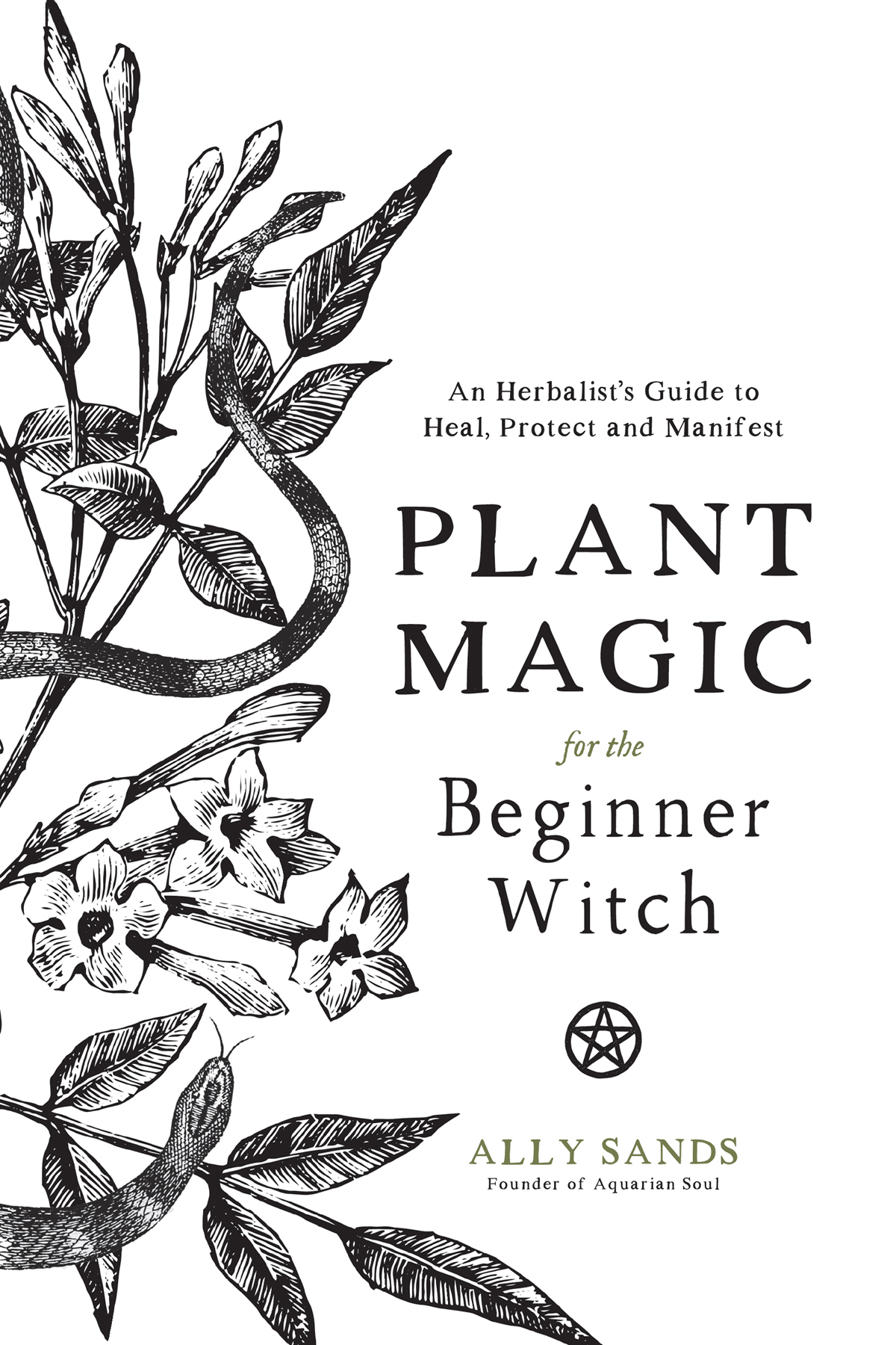 Plant Magic For The Beginner Witch Ally Sands Sands Ally