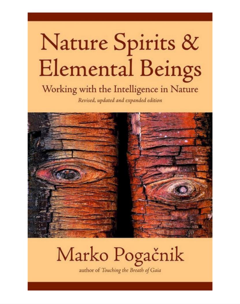 Nature Spirits Elemental Beings 2010th Edition Marko Pogacnik