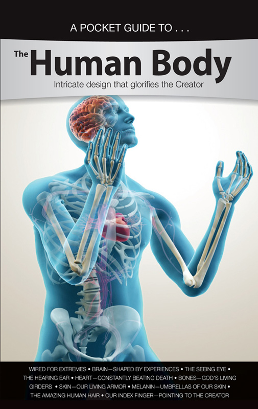A Pocket Guide Tothe Human Body Intricate Design That Glorifies The Creator Ken Ham