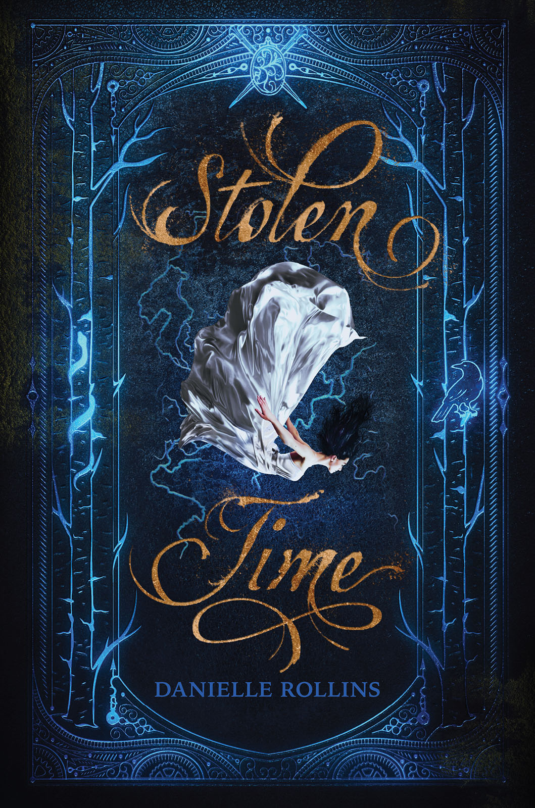 Stolen Time Danielle Rollins Rollins Danielle