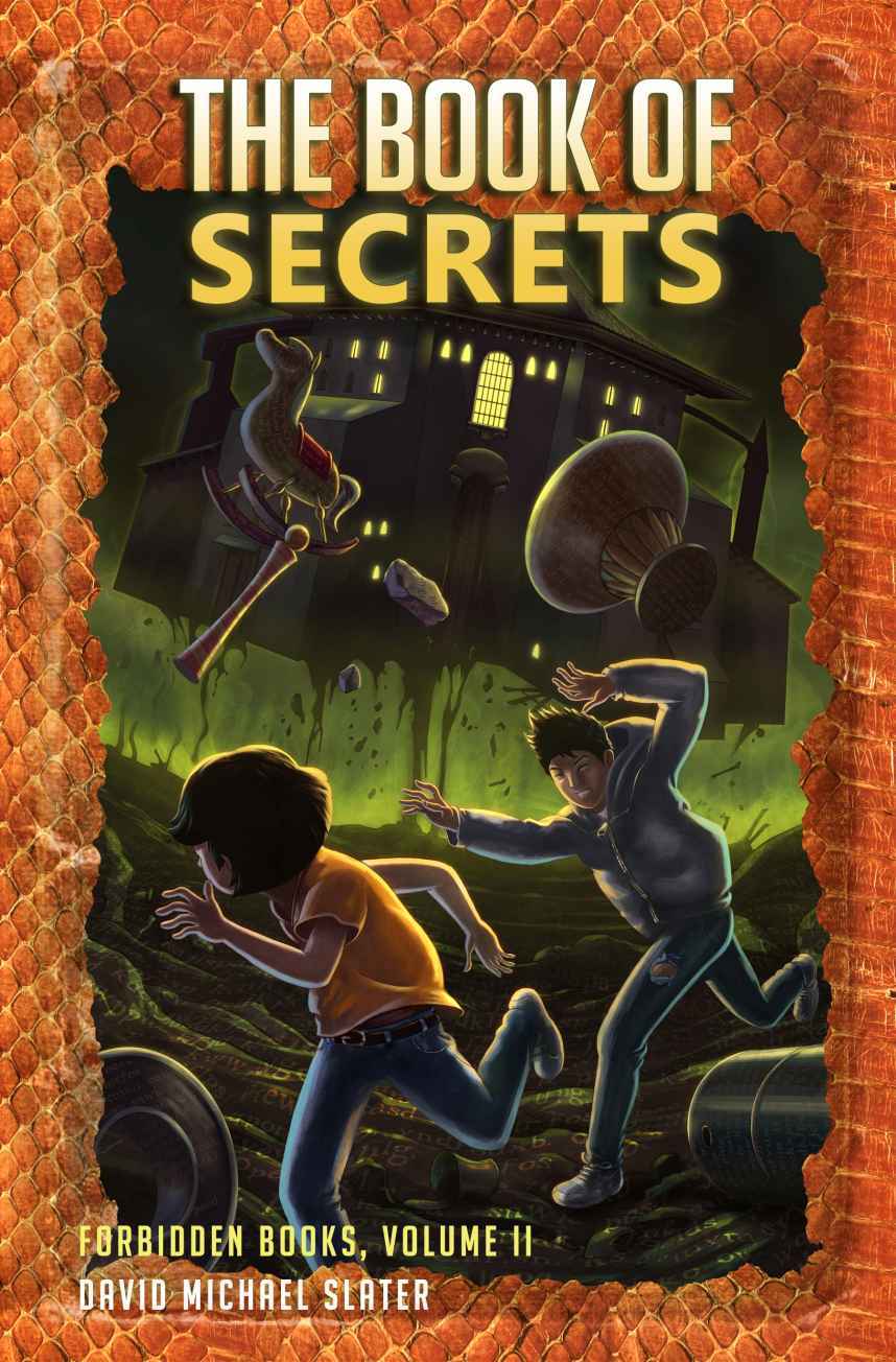 The Book Of Secrets David Michael Slater Slater David Michael