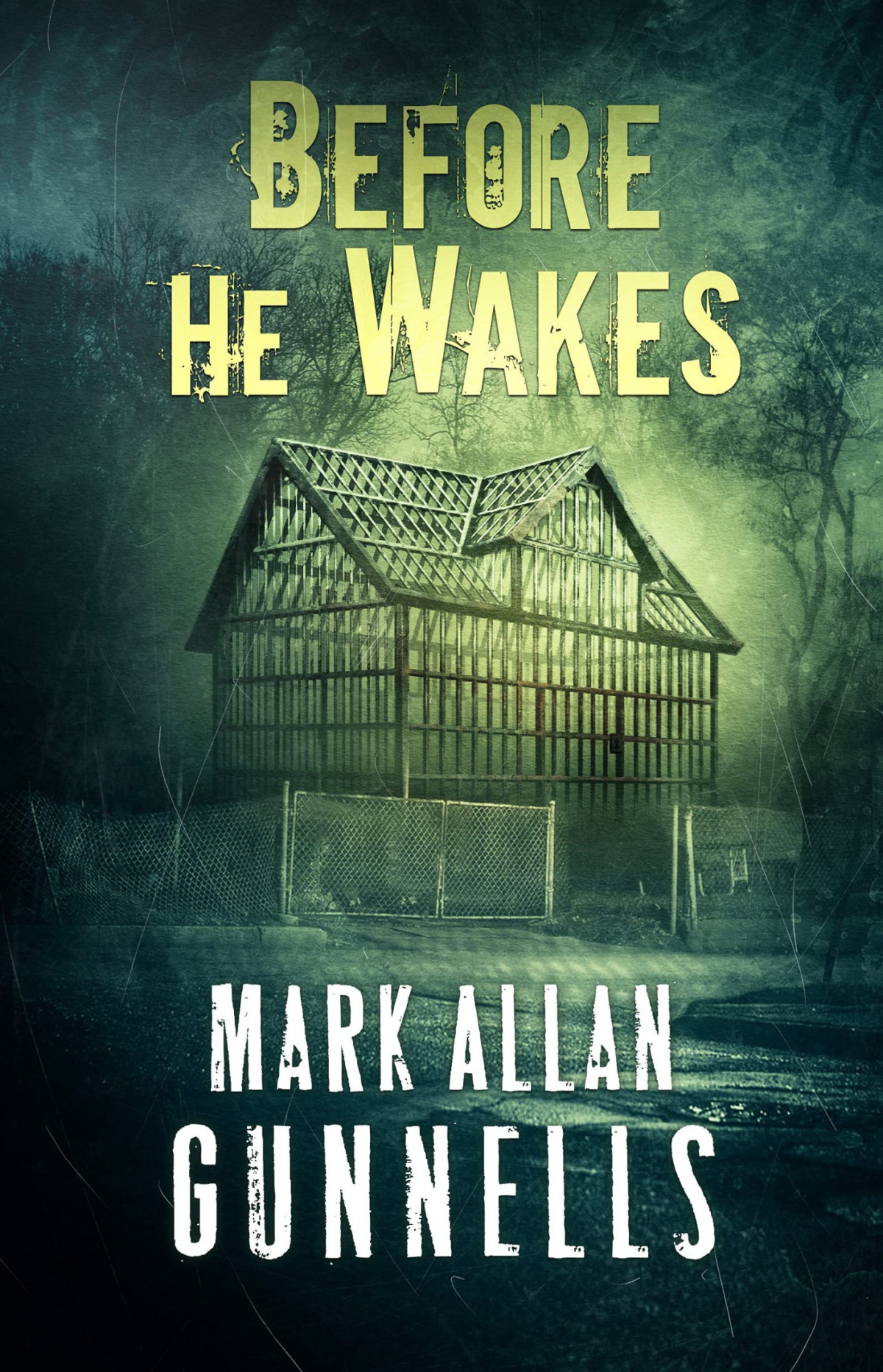 Before He Wakes 1st Edition Mark Allan Gunnells