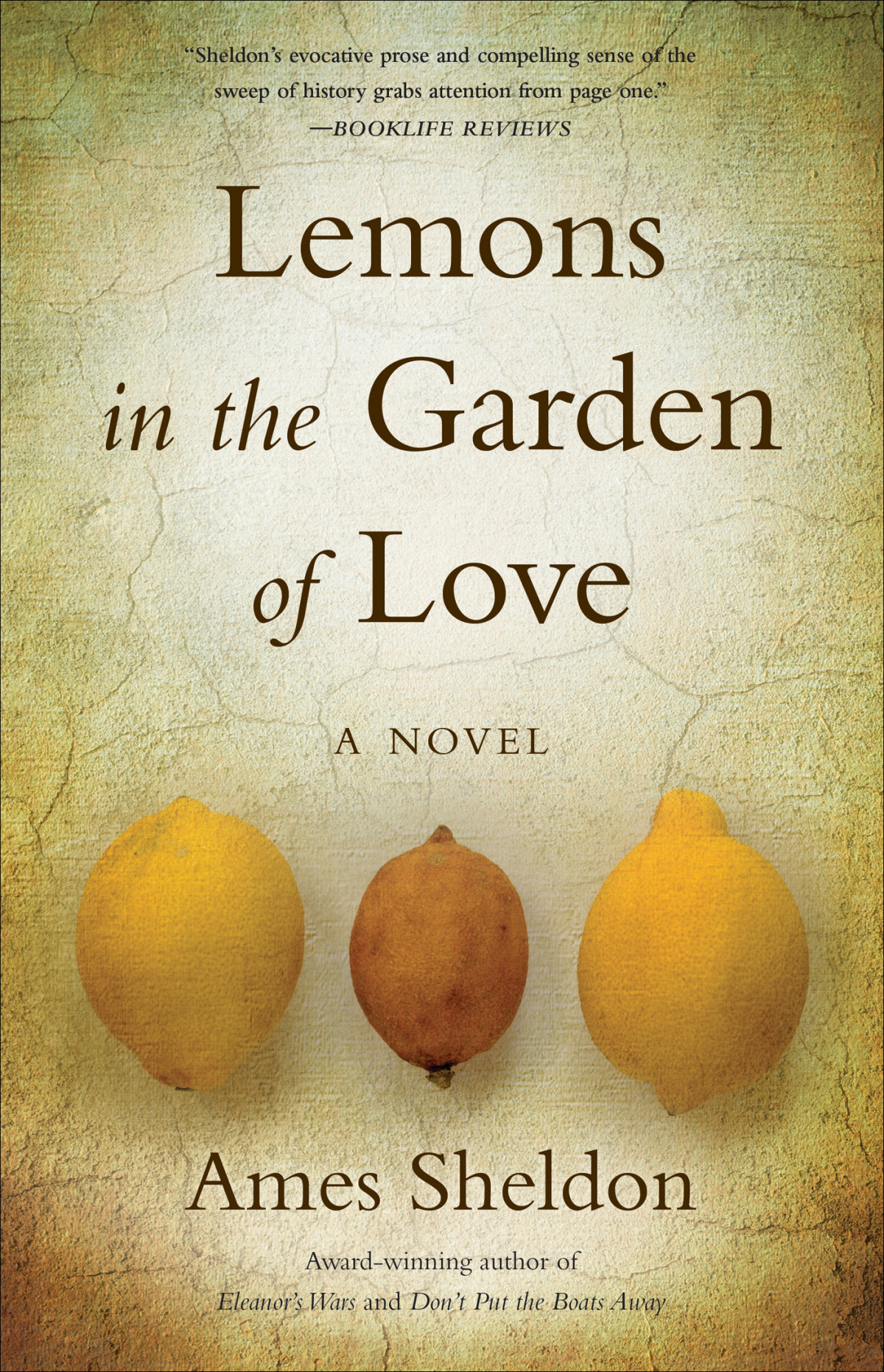 Lemons In The Garden Of Love Ames Sheldon Sheldon Ames