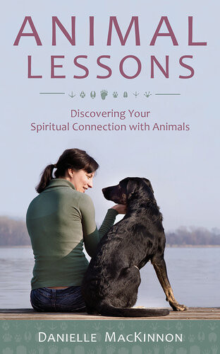 Animal Lessons Discovering Your Spiritual Connection With Animals Danielle Mackinnon